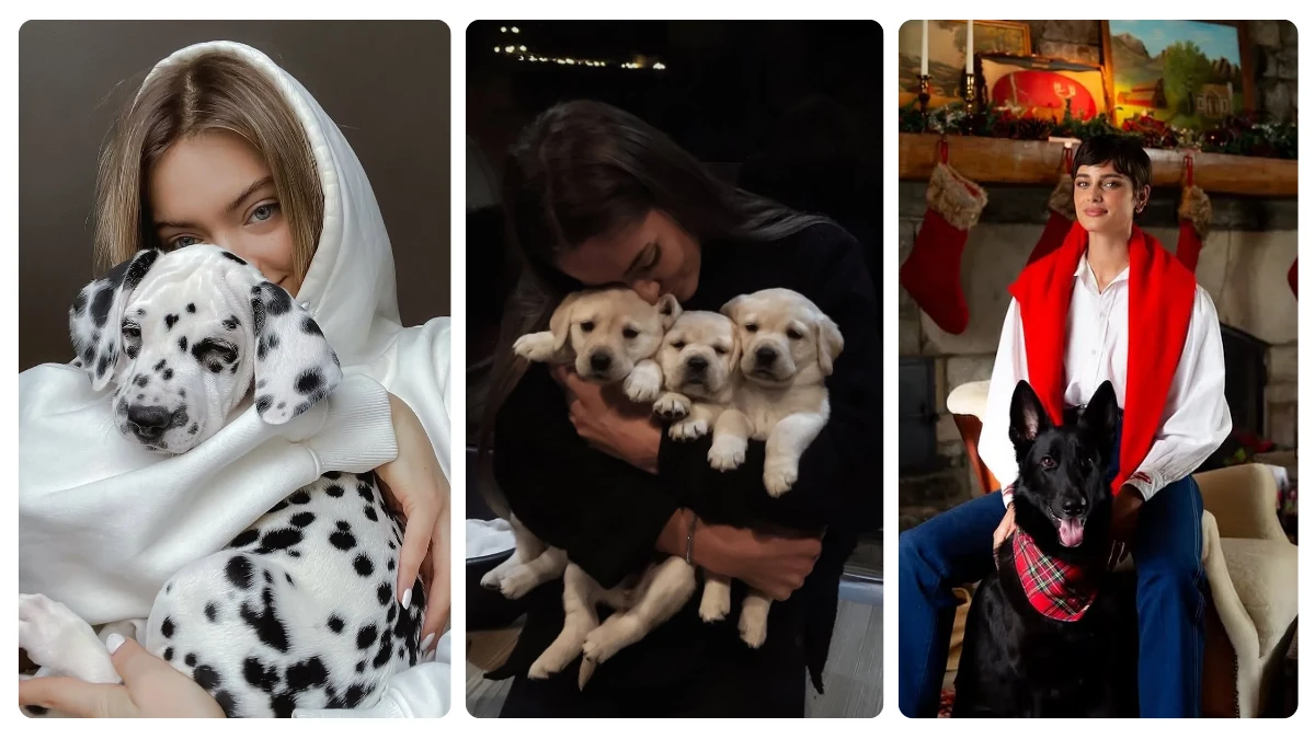 19 Photoshoot with Dogs Ideas