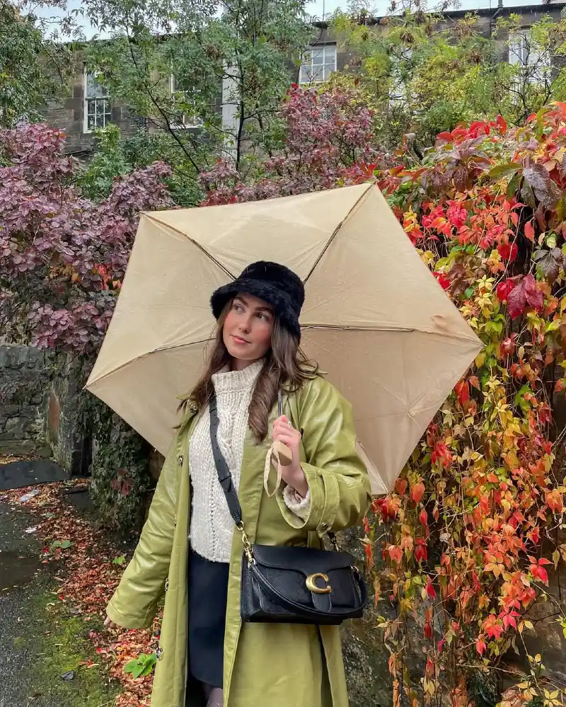 Autumn Elegance in the Rain
