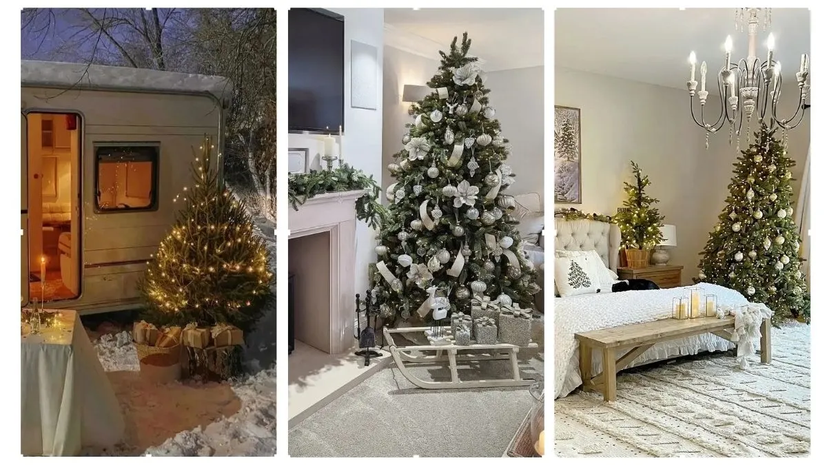 Best Places To Put Up A Christmas Tree