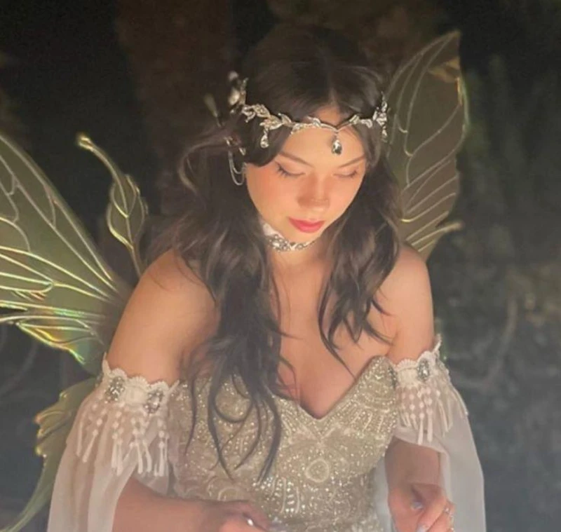 Moonlit Enchantress Fairy