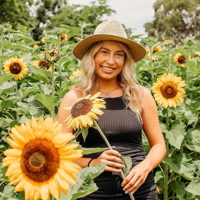 Sunflower Bliss