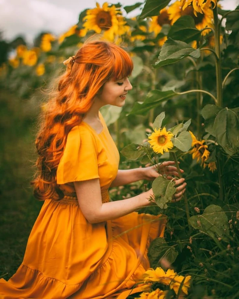 Sunflower Field Embrace