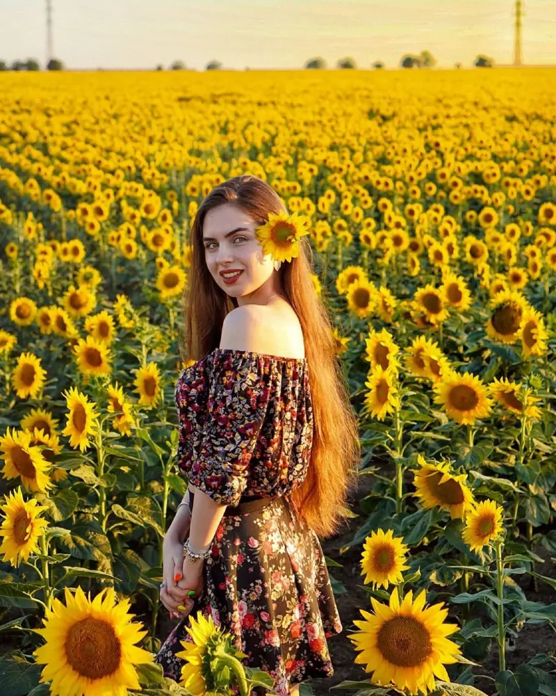 Sunflower Field Floral Boho