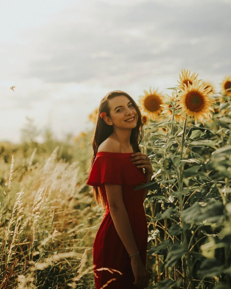 Sunflower Field Radiance
