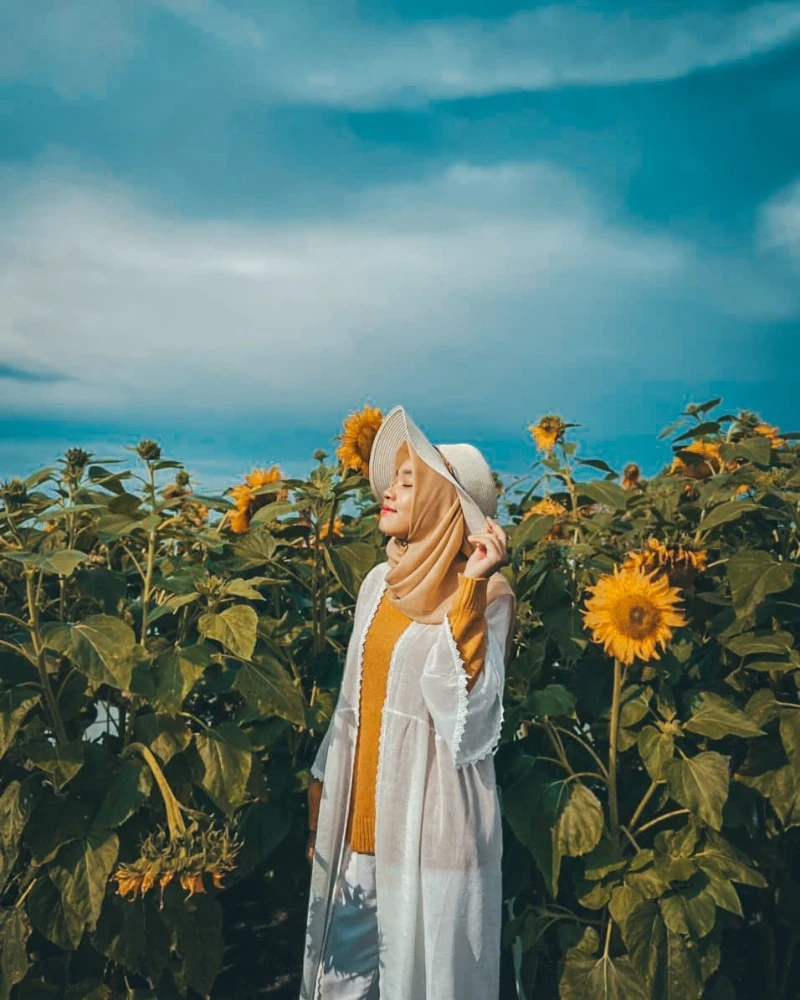 Sunflower Field Serenity