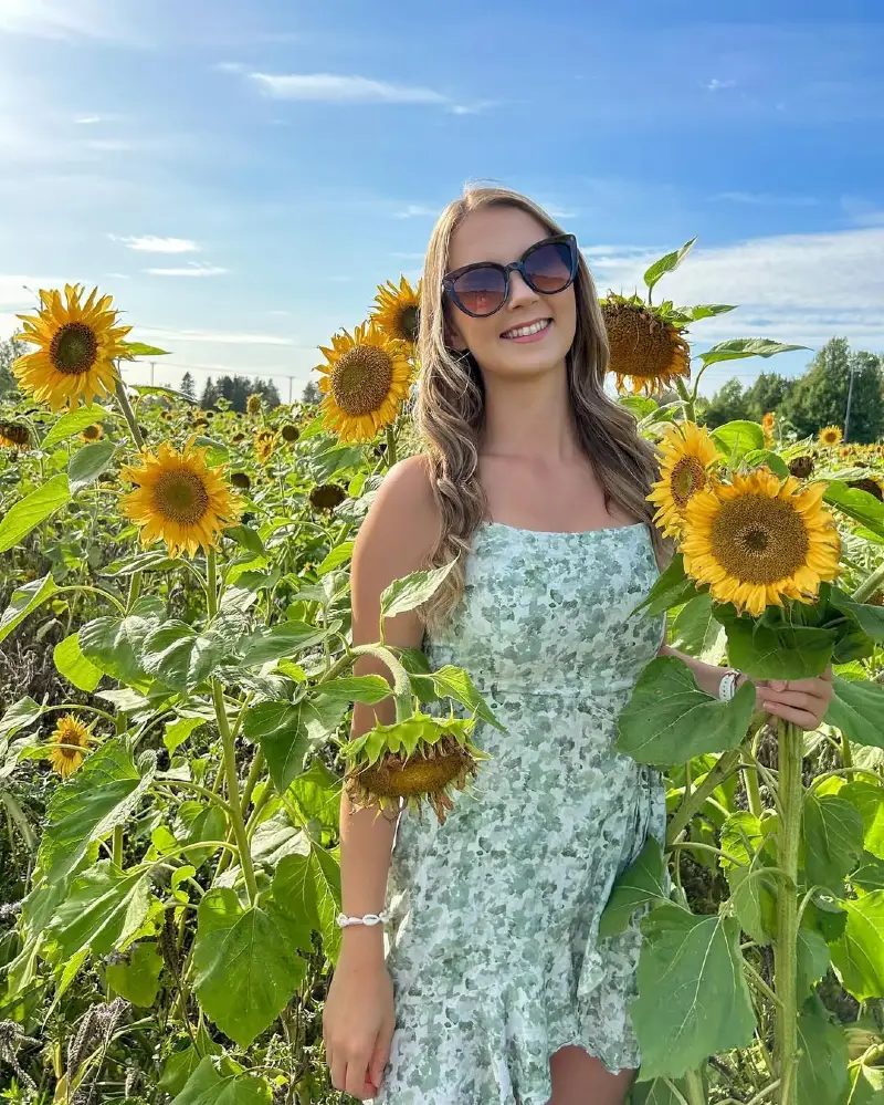 Sunflower Field Summer Vibes