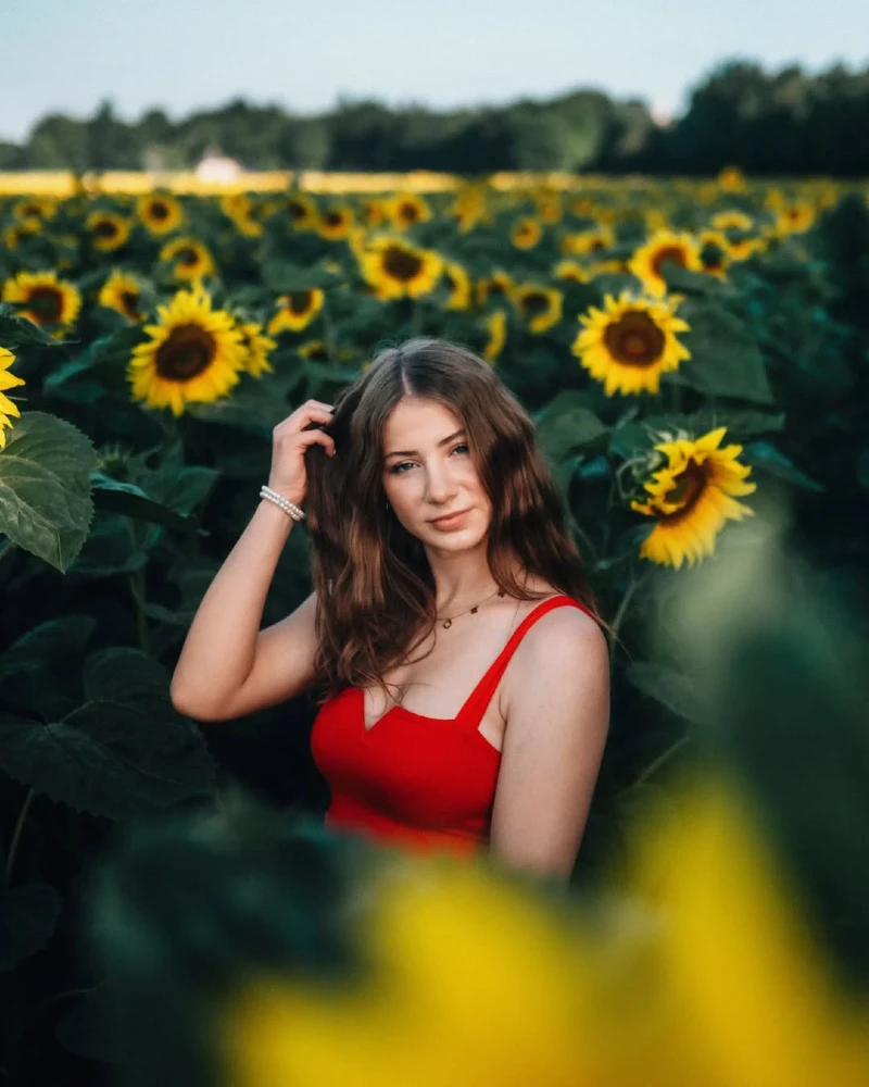 Sunflower Serenity