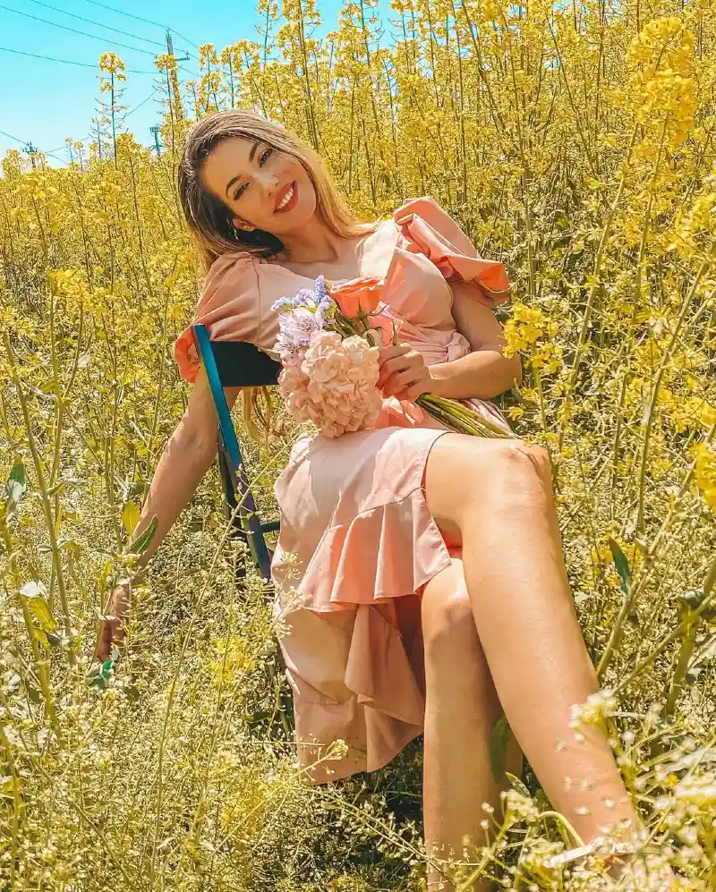 Sunlit Fields and Bouquets