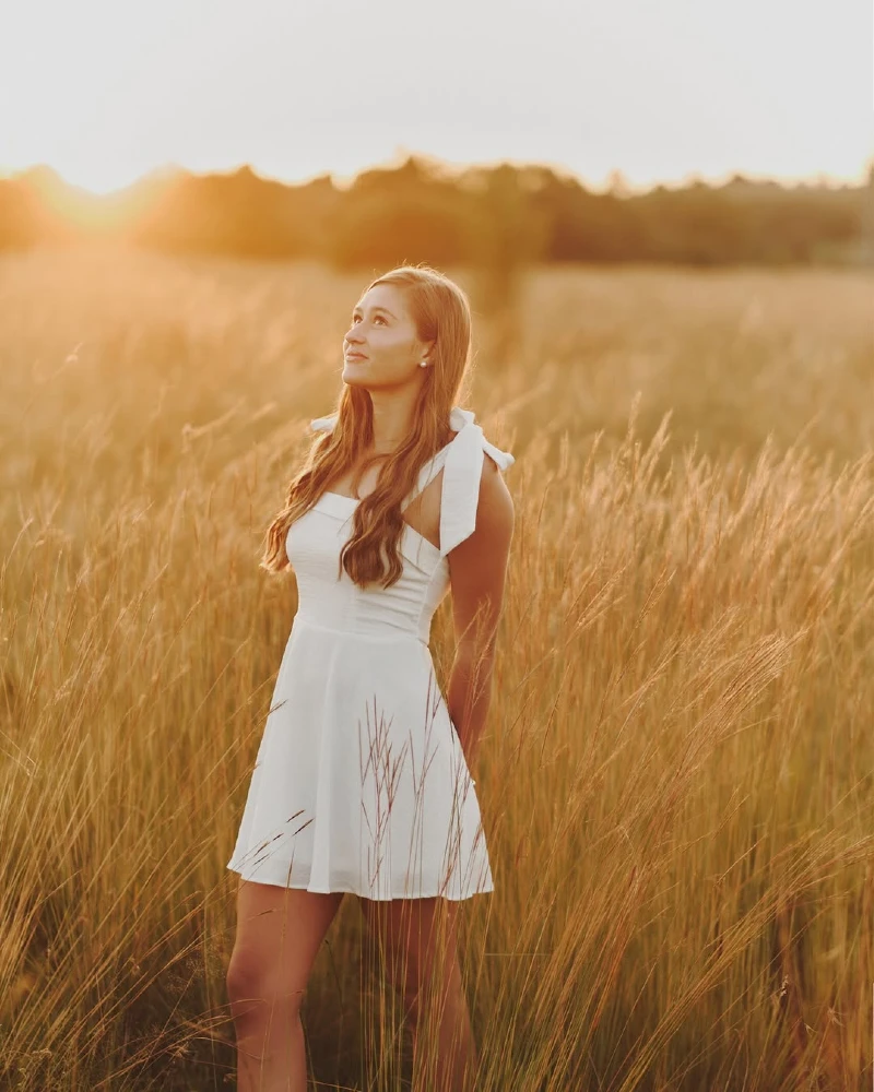 Sunset Field Elegance