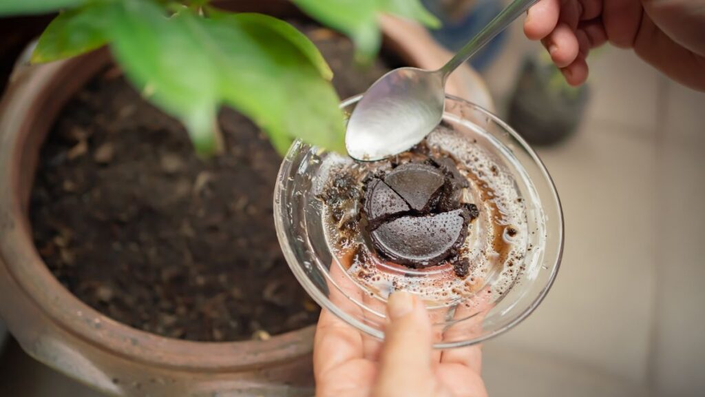 How To Get Burnt Food Smell Out Of House funpackedlife.com