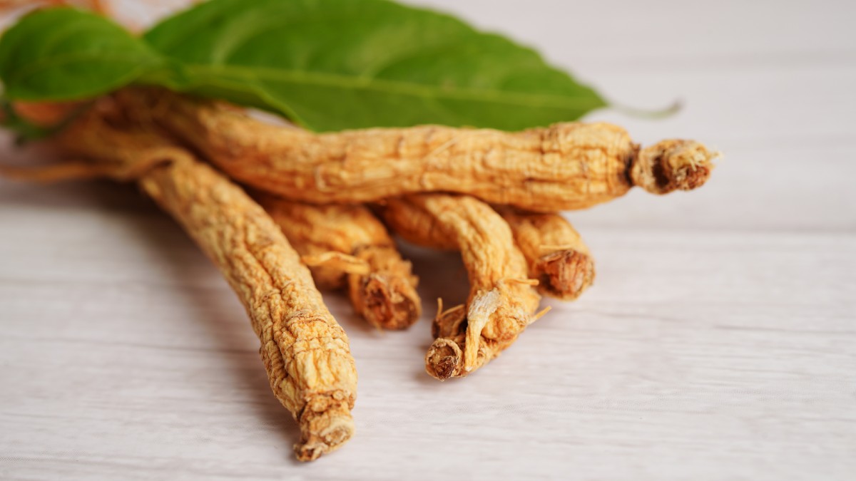 ginseng